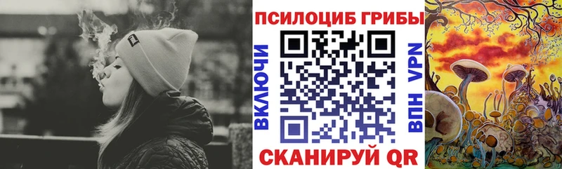 Галлюциногенные грибы MAGIC MUSHROOMS Новопавловск