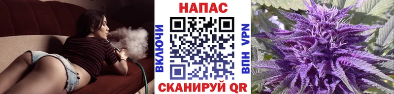 магазин Новопавловск Каннабис гибрид